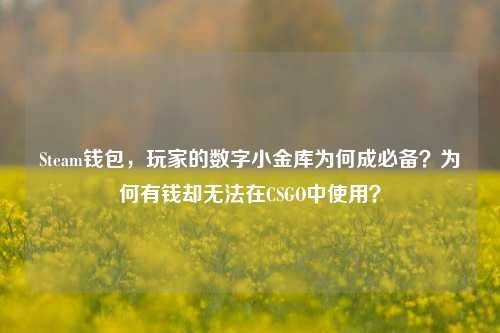 Steam钱包，玩家的数字小金库为何成必备？为何有钱却无法在CSGO中使用？