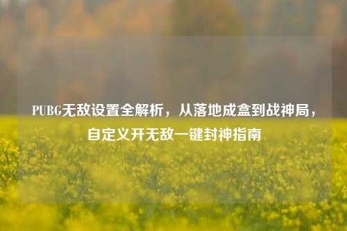 PUBG无敌设置全解析，从落地成盒到战神局，自定义开无敌一键封神指南