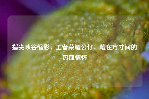 指尖峡谷缩影,王者荣耀公仔,藏在方寸间的热血情怀
