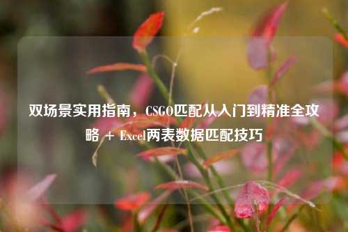 双场景实用指南,CSGO匹配从入门到精准全攻略 + Excel两表数据匹配技巧