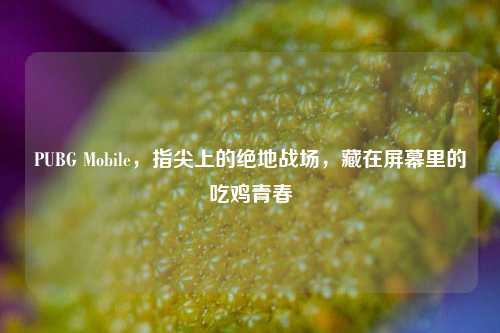 PUBG Mobile，指尖上的绝地战场，藏在屏幕里的吃鸡青春