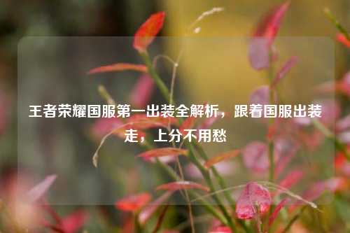 王者荣耀国服之一出装全解析，跟着国服出装走，上分不用愁