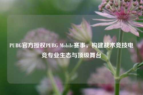 PUBG官方授权PUBG Mobile赛事，构建战术竞技电竞专业生态与顶级舞台