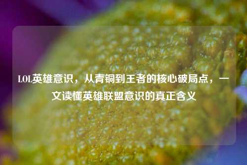 LOL英雄意识,从青铜到王者的核心破局点,一文读懂英雄联盟意识的真正含义