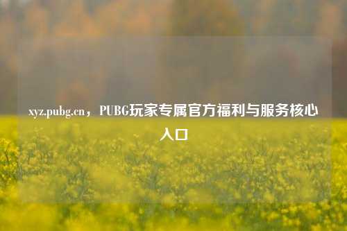 xyz.pubg.cn，PUBG玩家专属官方福利与服务核心入口