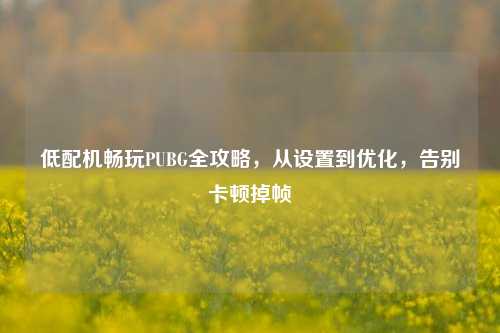 低配机畅玩PUBG全攻略，从设置到优化，告别卡顿掉帧