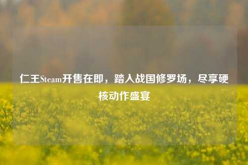 仁王Steam开售在即，踏入战国修罗场，尽享硬核动作盛宴