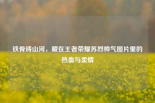铁骨铸山河,藏在王者荣耀苏烈帅气图片里的热血与柔情