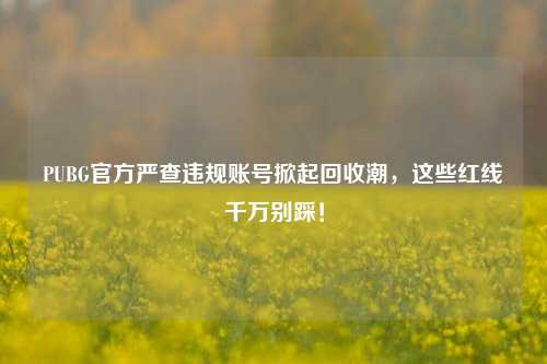 PUBG官方严查违规账号掀起回收潮，这些红线千万别踩！