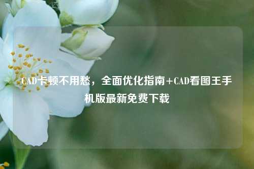 CAD卡顿不用愁，全面优化指南+CAD看图王手机版最新免费下载