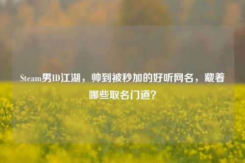 Steam男ID江湖，帅到被秒加的好听网名，藏着哪些取名门道？