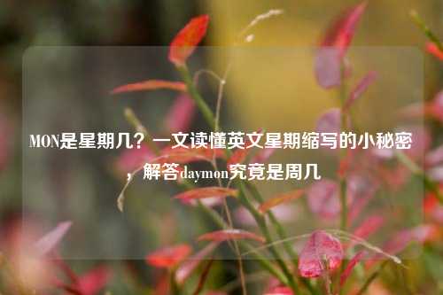 MON是星期几？一文读懂英文星期缩写的小秘密，解答daymon究竟是周几