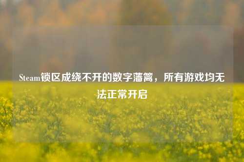 Steam锁区成绕不开的数字藩篱，所有游戏均无法正常开启