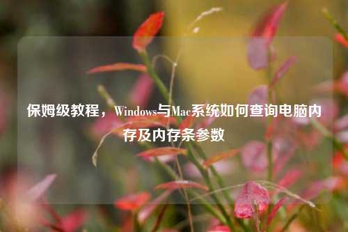 保姆级教程，Windows与Mac系统如何查询电脑内存及内存条参数