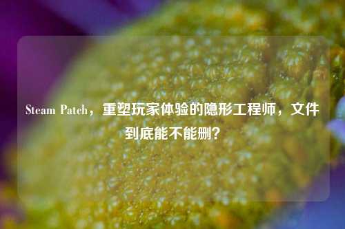 Steam Patch，重塑玩家体验的隐形工程师，文件到底能不能删？