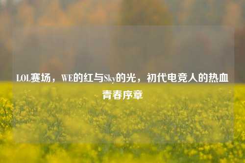 LOL赛场，WE的红与Sky的光，初代电竞人的热血青春序章
