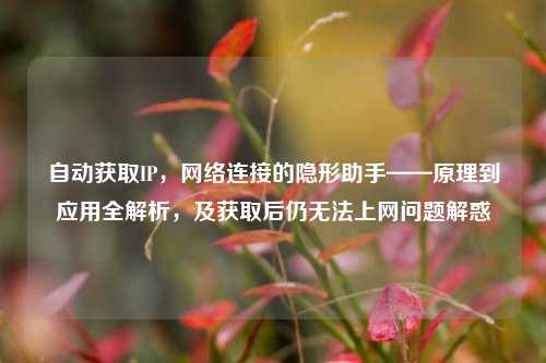 自动获取IP，     连接的隐形助手——原理到应用全解析，及获取后仍无法上网问题解惑