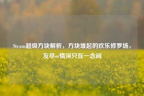 Steam超级方块解析，方块堆起的欢乐修罗场，友尽or情深只在一念间