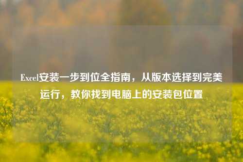 Excel安装一步到位全指南，从版本选择到完美运行，教你找到电脑上的安装包位置