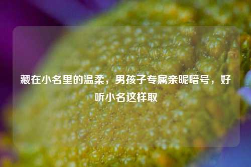 藏在小名里的温柔，男孩子专属亲昵暗号，好听小名这样取
