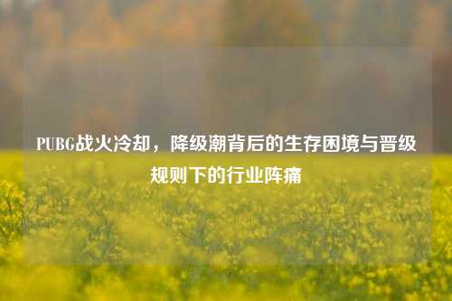 PUBG战火冷却，降级潮背后的生存困境与晋级规则下的行业阵痛