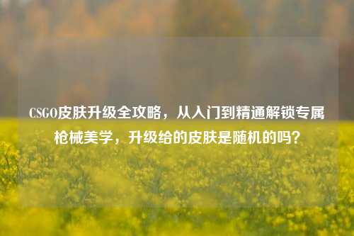 CSGO皮肤升级全攻略，从入门到精通解锁专属枪械美学，升级给的皮肤是随机的吗？