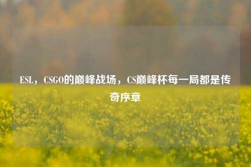 ESL,CSGO的巅峰战场,CS巅峰杯每一局都是传奇序章