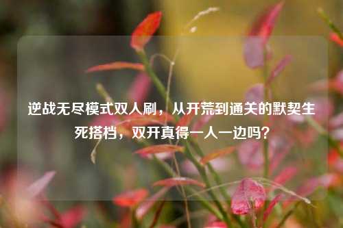逆战无尽模式双人刷，从开荒到通关的默契生死搭档，双开真得一人一边吗？