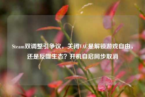 Steam双调整引争议，关闭VAC是解锁游戏自由，还是反噬生态？开机自启同步取消