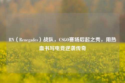 RN（Renegades）战队，CSGO赛场后起之秀，用热     写电竞逆袭传奇