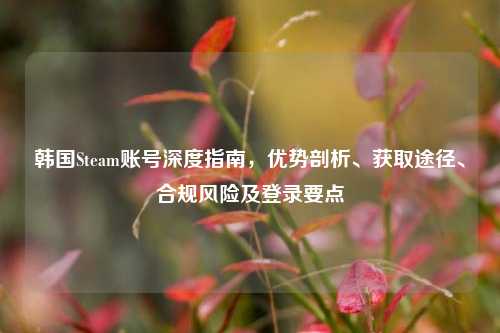 韩国Steam账号深度指南，优势剖析、获取途径、合规风险及登录要点