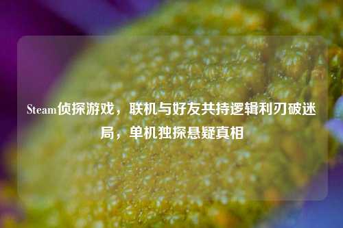 Steam侦探游戏，联机与好友共持逻辑利刃破迷局，单机独探悬疑真相