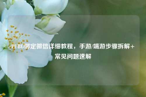 PUBG绑定微信详细教程，手游/端游步骤拆解+常见问题速解