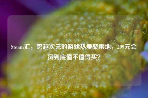 Steam汇，跨越次元的游戏热爱聚集地，299元会员到底值不值得买？