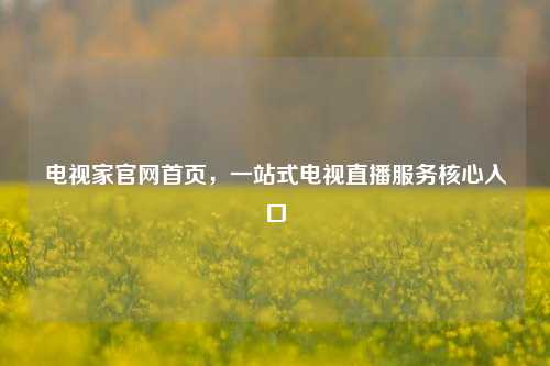 电视家官网首页，一站式电视直播服务核心入口