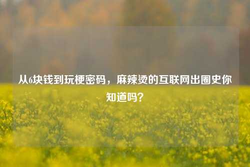 从6块钱到玩梗密码，麻辣烫的互联网出圈史你知道吗？