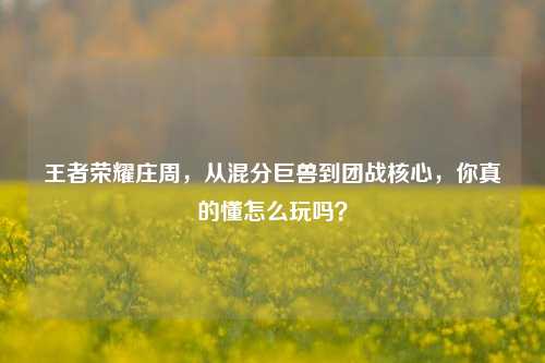 王者荣耀庄周，从混分巨兽到团战核心，你真的懂怎么玩吗？