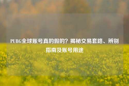 PUBG全球账号真的假的？揭秘交易套路、辨别指南及账号用途