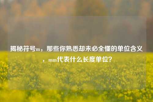 揭秘符号m，那些你熟悉却未必全懂的单位含义，mm代表什么长度单位？