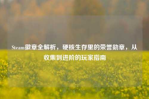 Steam徽章全解析，硬核生存里的荣誉勋章，从收集到进阶的玩家指南