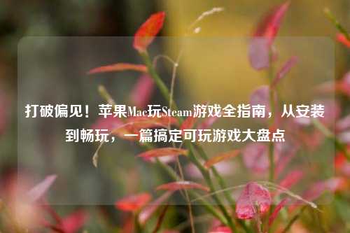 打破偏见！苹果Mac玩Steam游戏全指南，从安装到畅玩，一篇搞定可玩游戏大盘点