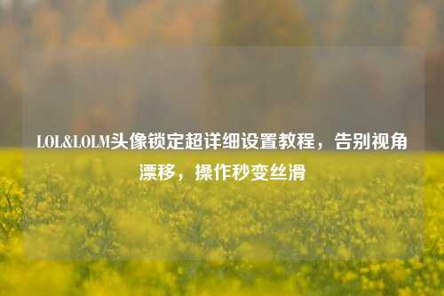 LOL&LOLM头像锁定超详细设置教程，告别视角漂移，操作秒变丝滑