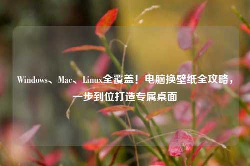 Windows、Mac、Linux全覆盖！电脑换壁纸全攻略，一步到位打造专属桌面