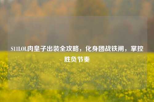 S11LOL肉皇子出装全攻略，化身团战铁闸，掌控胜负节奏