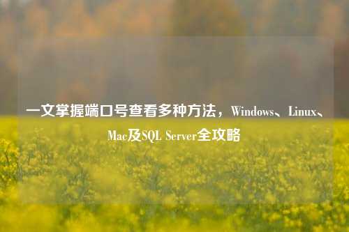 一文掌握端口号查看多种     ，Windows、Linux、Mac及SQL Server全攻略