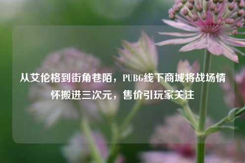 从艾伦格到街角巷陌，PUBG线下商城将战场情怀搬进三次元，售价引玩家关注