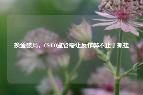换道破局，CS:GO监管需让反作弊不止于抓挂