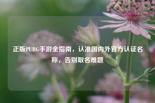 正版PUBG手游全指南，认准国内外官方认证名称，告别取名难题