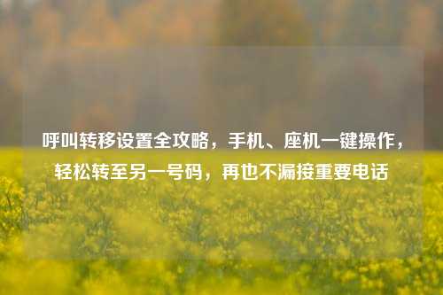 呼叫转移设置全攻略，手机、座机一键操作，轻松转至另一号码，再也不漏接重要     