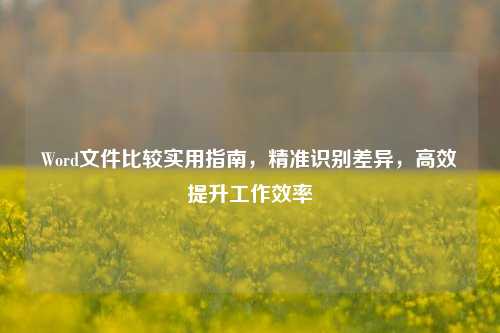 Word文件比较实用指南，精准识别差异，高效提升工作效率